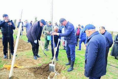 &laquo;Каркидон&raquo;  ҳудуди яшилликка бурканади