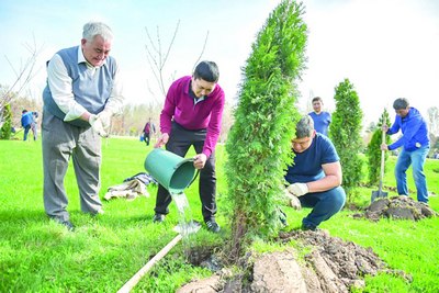 Яшилликка бурканаётган  Оҳангарон