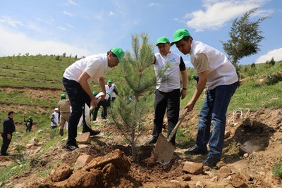 &laquo;35 йилга &ndash; 35 кўчат&raquo;:  Оҳангаронда янги экологик ташаббус