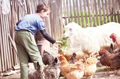 «Болам уйда илон боқяпти»