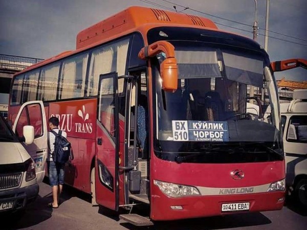 Чорвоққа автобус қатнайди