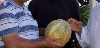 Арининг заҳрин чекмаган...