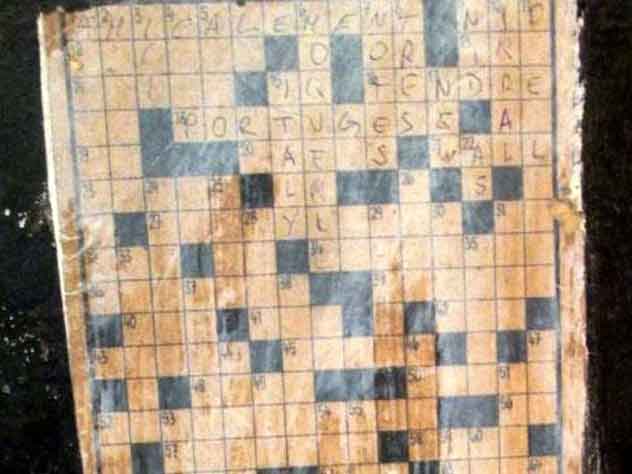 Кампиршонинг иши