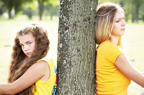 НОЗИК ЖОЙИ: МАҚТОВ ВА ТАНҚИД