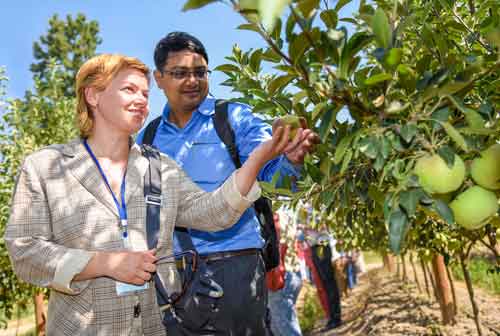 УНУТИЛГАН НОН БЎЛАКЛАРИ