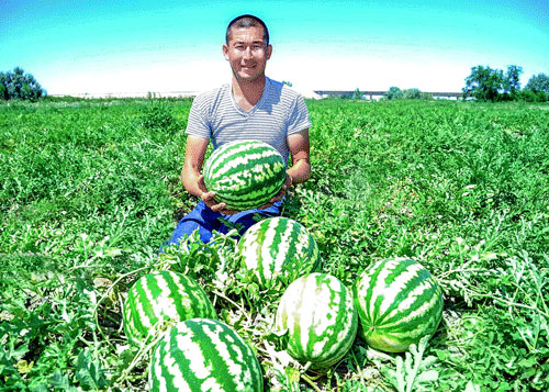 БОЗОРЛАРИМИЗ  ТЎКИН  БЎЛСИН!