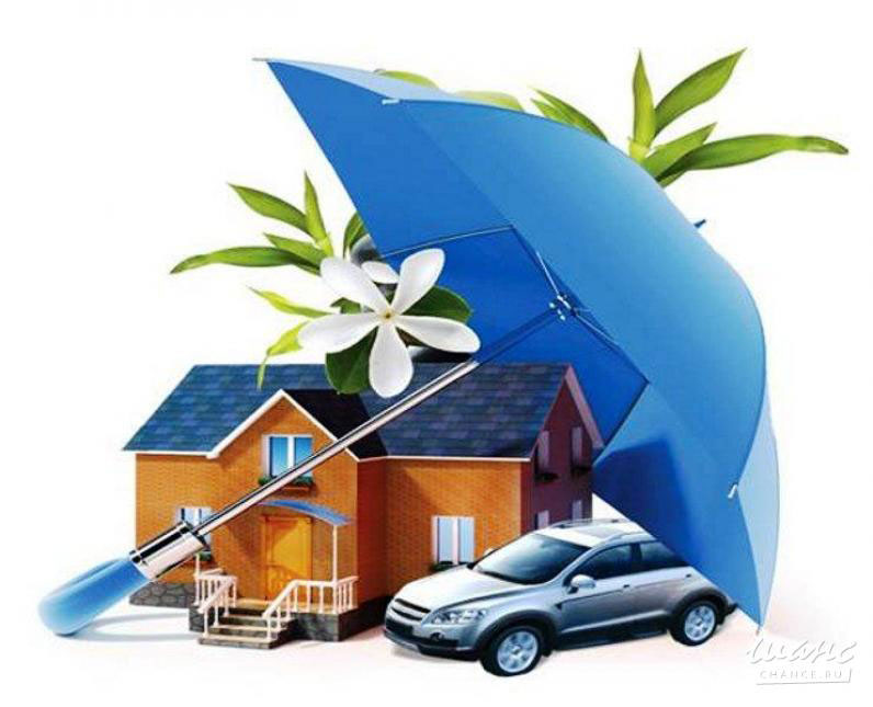 Машина пачақланди: СУҒУРТА ПУЛИ УНДИРИЛДИ... МИ?