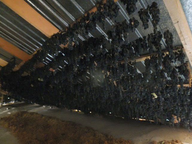 ТОМОРҚАНГИЗДА КЎМИЛГАН ХАЗИНА