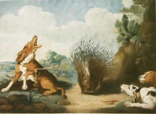 ЖАЙРАНИНГ ИНИ БИТТАМИ?