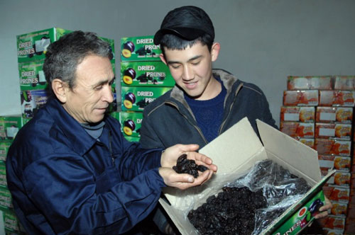 ҒАЛЛАОРОЛ МЕВАСИ ВЬЕТНАМГАЧА