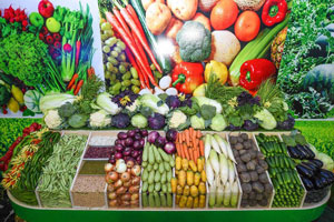 Янги банк: «Ўзагроэкспортбанк»