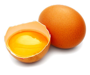 САККИЗ ОҒИЗДАН ОРТГАН ИККИ ТУХУМ