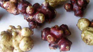 Топинамбурдан шарбат ва сироп