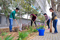 11-12 март кунлари умумхалқ ҳашари ўтказилади