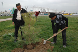 МИЛЛИОНЛАБ КЎЧАТ ЭКИЛСА,