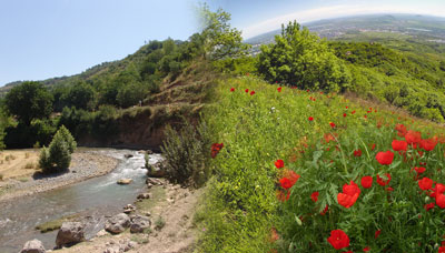 САВР САБОҚЛАРИ