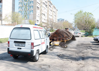 ЁРДАМГА МУҲТОЖ «ТЕЗ ЁРДАМ»