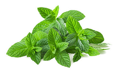 СУНЪИЙ ЕТИШТИРИЛМАЙДИГАН ЎСИМЛИК