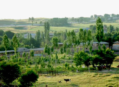 КАЛТАТОЙЛИК  АҲИЛ ОИЛА