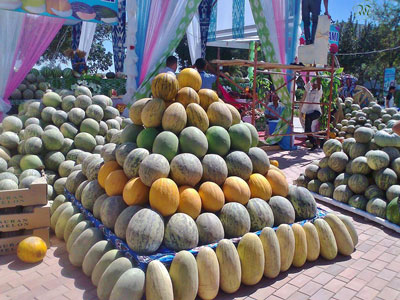 ХОРАЗМДА ҚОВУН САЙЛИ