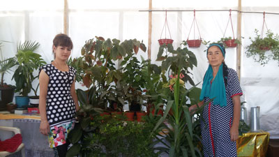 ЛОЛАДАН 2,5 МИЛЛИОН СОФ ФОЙДА