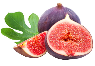 АСАЛГА ТЕНГ МЕВА