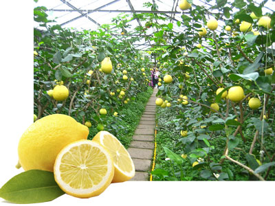 БЎШ ВАҚТДА МИЛЛИОН ТОПИБ...