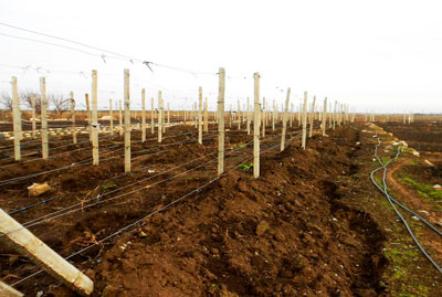 ТОК УСТИГА ТУПРОҚ ҚАЛИН ТОРТИЛСА&hellip;