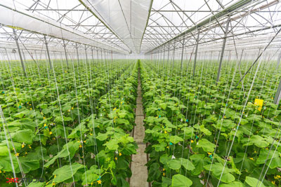 КРЕДИТ ОЛИШ ВАҲИМА ЭМАС