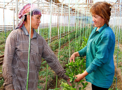 ЙИГИРМА СОТИХДАН ЙИГИРМА МИЛЛИОН