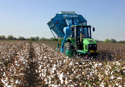 ЭНДИ ҚЎЛДА ТЕРМАЙМИЗ...МИ?