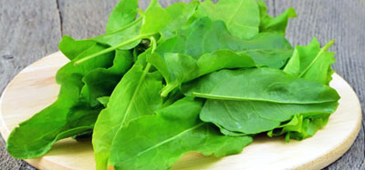 &laquo;ИЛИК&nbsp; УЗИЛДИ&raquo;ДА&nbsp; ДАРМОН