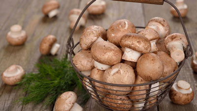 ЗАҲАРИ АЧЧИҚ, ФОЙДАСИ ТОТЛИ