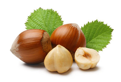 ФУНДУК БИЗДА ЎСАДИ, ФАҚАТ БИР НОЗИК ЖИҲАТИ БОР...