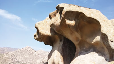 Қўйлар чиндан ҳам тошга айланганми?