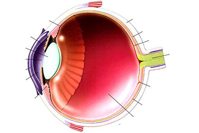 КЎЗИНГИЗ ХИРАЛАШЯПТИМИ: САБАБИ БЕШТА