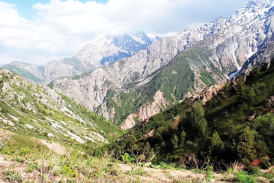 &laquo;ОҚ ТОҒЛАРНИ ИЗЛАДИМ, ҚОРА ТОҒЛАР ДУЧ КЕЛДИ...&raquo;