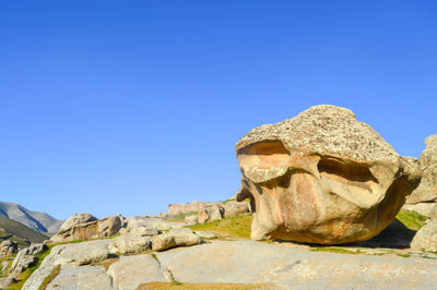 Бақа кўзими ё тоғ лоласи?