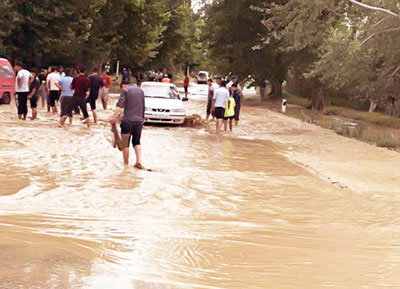 Табиий офат етказган зарарни ким тўлайди?