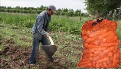 Бировнинг ҳақи