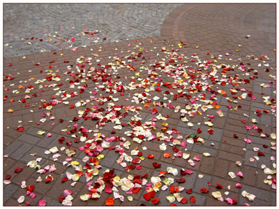 Замонавий табрик