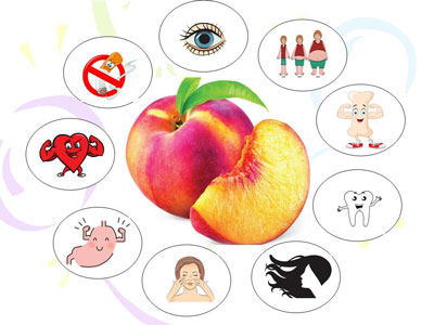 Шафтолининг шифоси