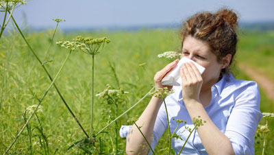 Аллергиянинг энг яхши давоси