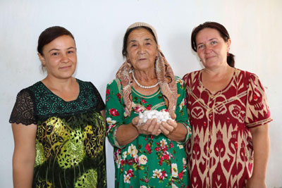 Йилига уч марта пилла ҳосили