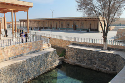 Писта чақар балиқлар