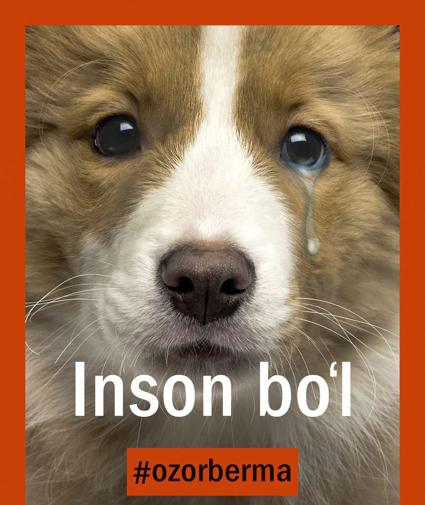 ИНСОН БЎЛ, ОЗОР БЕРМА!