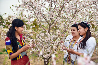 СИЁСАТ МАЙДОНИДА ҲАМ ФАОЛ