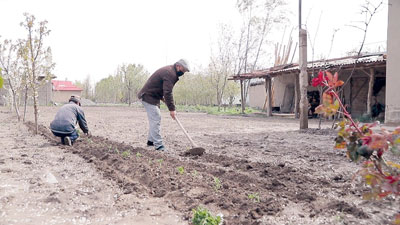 «ТОМОРҚАГА ЖАРИМА» –  МУАММОГА ЕЧИМ БЎЛАДИМИ?