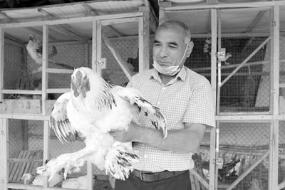 МАҲАЛЛАНИНГ МИЛЛИОНЕР РАИСЛАРИ даромадни қаердан олишяпти?