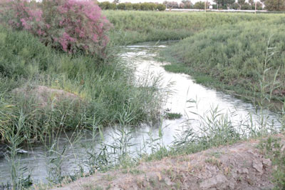 ЖИНҒИЛНИ ҚАНДАЙ АСРАБ ҚОЛАМИЗ?